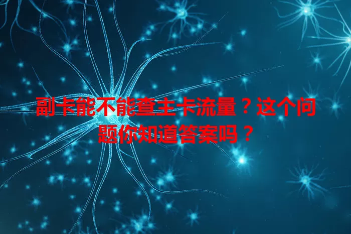 副卡能不能查主卡流量？这个问题你知道答案吗？