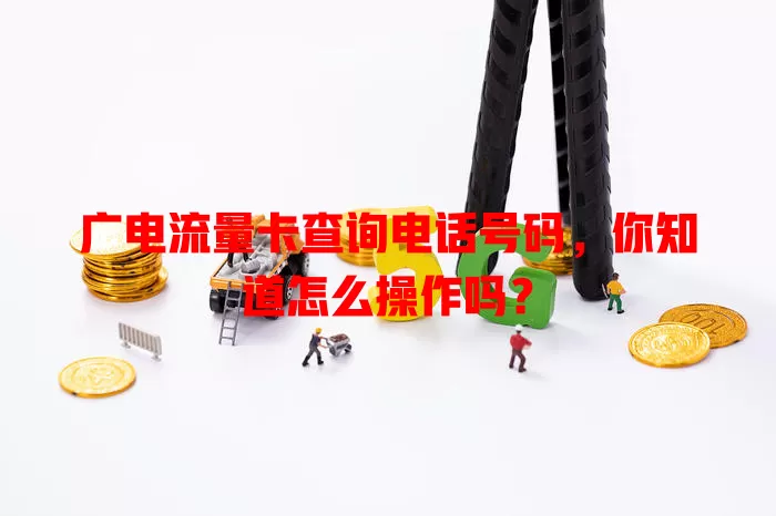 广电流量卡查询电话号码，你知道怎么操作吗？