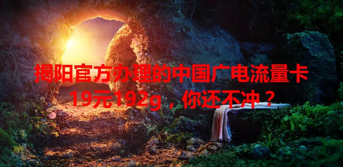 揭阳官方办理的中国广电流量卡19元192g，你还不冲？