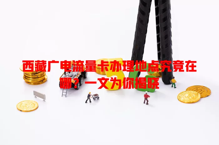 西藏广电流量卡办理地点究竟在哪？一文为你揭晓