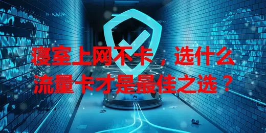 寝室上网不卡，选什么流量卡才是最佳之选？