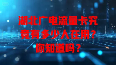 湖北广电流量卡究竟有多少人在用？你知道吗？