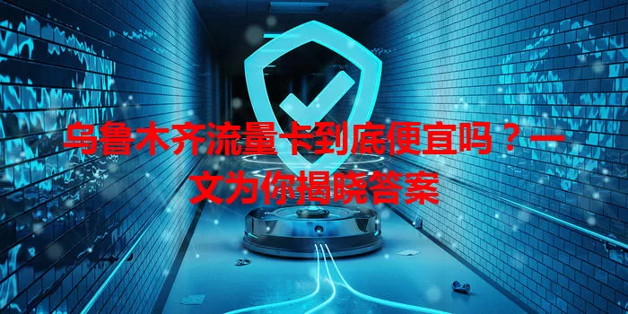 乌鲁木齐流量卡到底便宜吗？一文为你揭晓答案