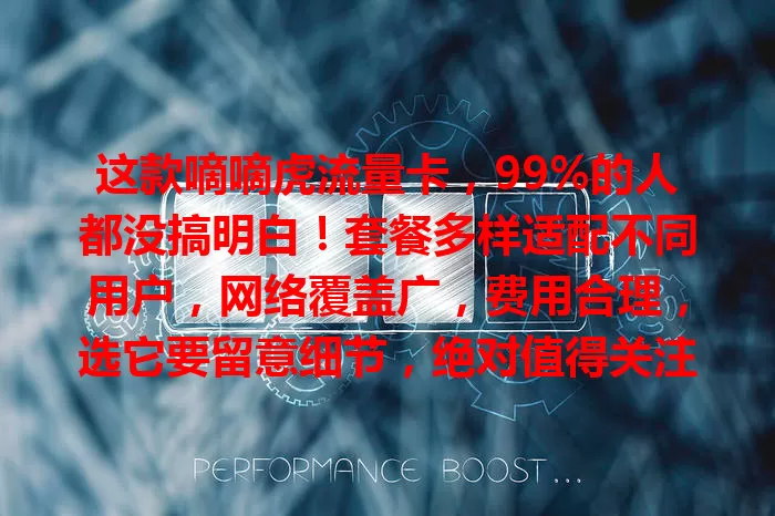 这款嘀嘀虎流量卡，99%的人都没搞明白！套餐多样适配不同用户，网络覆盖广，费用合理，选它要留意细节，绝对值得关注！