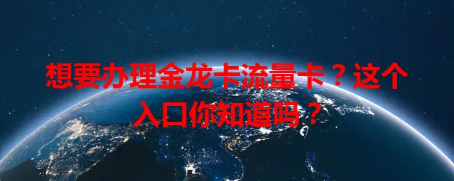 想要办理金龙卡流量卡？这个入口你知道吗？
