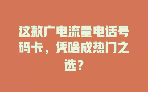 这款广电流量电话号码卡，凭啥成热门之选？