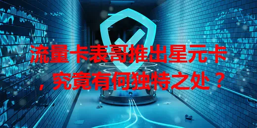 流量卡表哥推出星元卡，究竟有何独特之处？