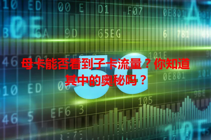 母卡能否看到子卡流量？你知道其中的奥秘吗？