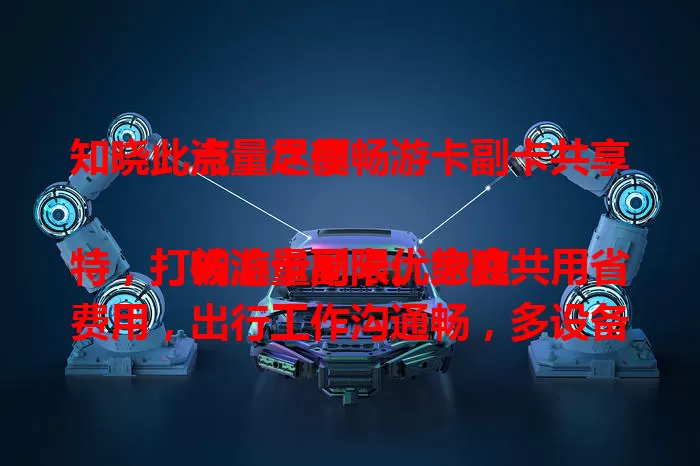 知晓此点，尽享畅游卡副卡共享流量之便

畅游卡副卡优势独特，打破流量局限。家庭共用省费用，出行工作沟通畅，多设备联网也轻松，为用户带来便利实惠，让流量使用更高效灵活。