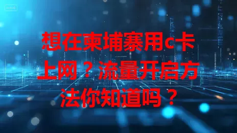 想在柬埔寨用c卡上网？流量开启方法你知道吗？