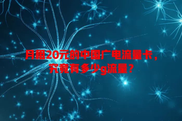 月租20元的中国广电流量卡，究竟有多少g流量？