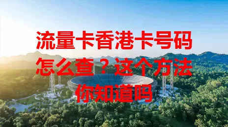 流量卡香港卡号码怎么查？这个方法你知道吗