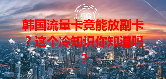 韩国流量卡竟能放副卡？这个冷知识你知道吗？