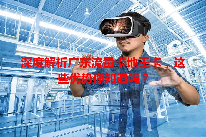 深度解析广东流量卡地王卡，这些优势你知道吗？