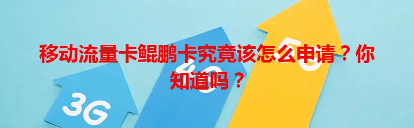 移动流量卡鲲鹏卡究竟该怎么申请？你知道吗？