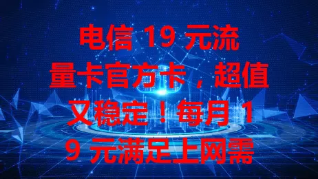 电信 19 元流量卡官方卡，超值又稳定！每月 19 元满足上网需求，官方品质保障，多人群适用。还在愁流量贵网络差？快来看看这款卡！