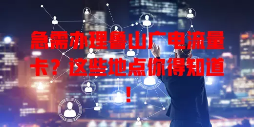 急需办理鲁山广电流量卡？这些地点你得知道！