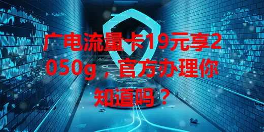 广电流量卡19元享2050g，官方办理你知道吗？
