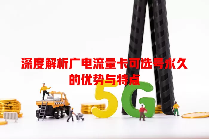深度解析广电流量卡可选号永久的优势与特点