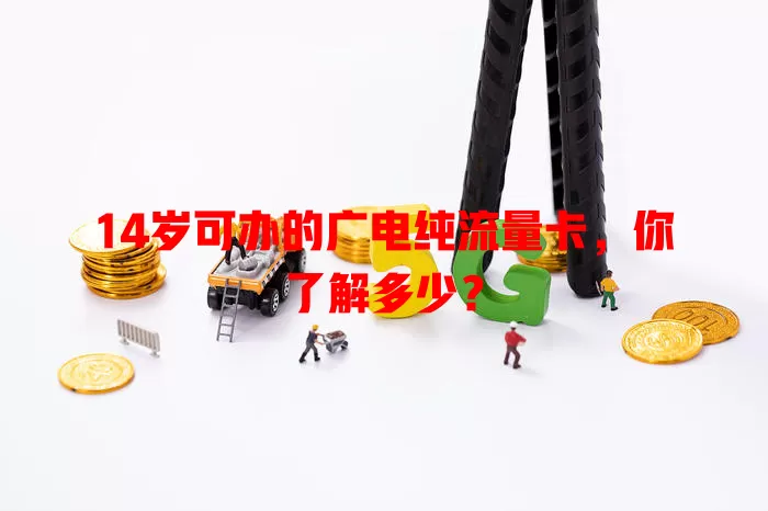 14岁可办的广电纯流量卡，你了解多少？