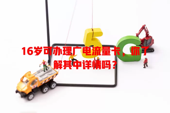 16岁可办理广电流量卡，你了解其中详情吗？