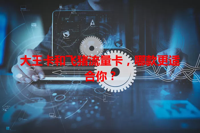 大王卡和飞猪流量卡，哪款更适合你？