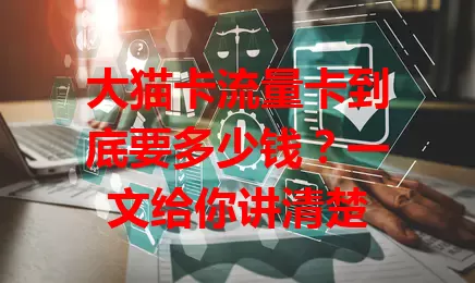 大猫卡流量卡到底要多少钱？一文给你讲清楚