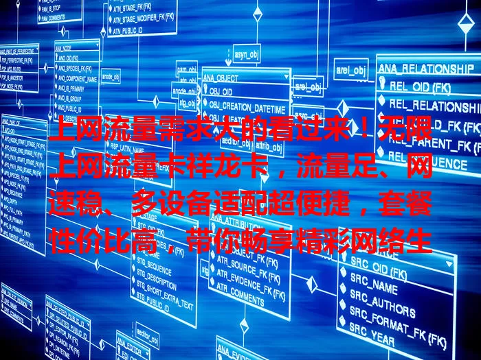 上网流量需求大的看过来！无限上网流量卡祥龙卡，流量足、网速稳、多设备适配超便捷，套餐性价比高，带你畅享精彩网络生活