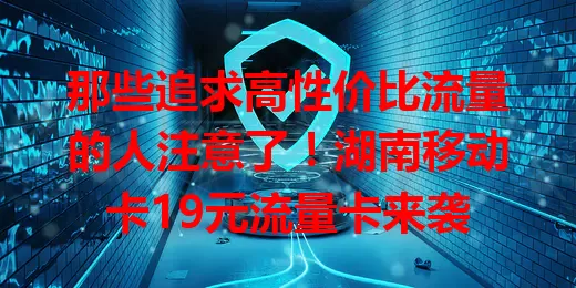 那些追求高性价比流量的人注意了！湖南移动卡19元流量卡来袭