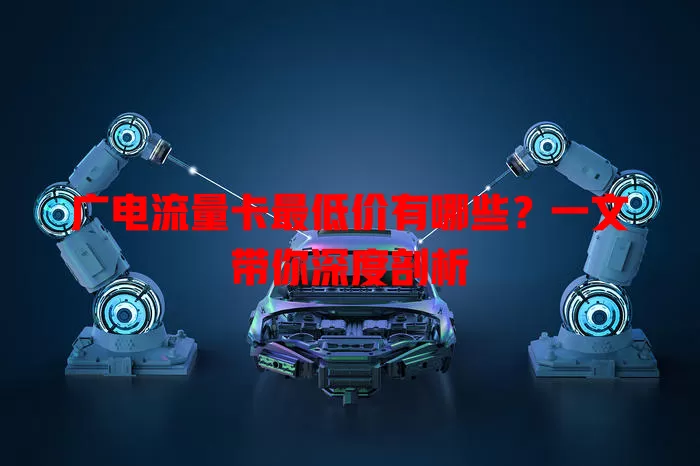 广电流量卡最低价有哪些？一文带你深度剖析