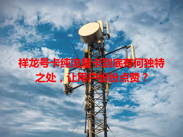 祥龙号卡纯流量卡到底有何独特之处，让用户纷纷点赞？