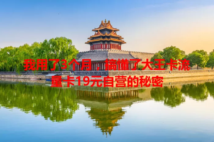 我用了3个月，搞懂了大王卡流量卡19元自营的秘密