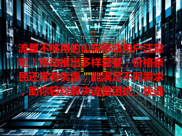 流量不够用的山东移动用户注意啦！移动推出多样套餐，价格亲民还常有优惠，能满足不同需求，助你轻松解决流量困扰，快选适合自己的！