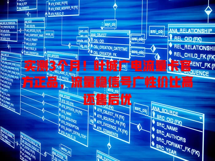 实测3个月！叶城广电流量卡官方正品，流量稳信号广性价比高还售后优