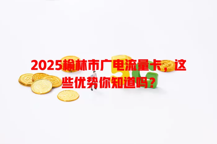 2025榆林市广电流量卡，这些优势你知道吗？