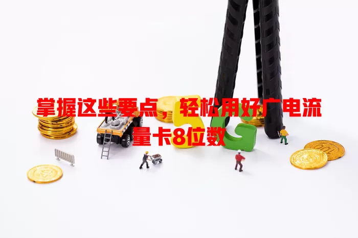 掌握这些要点，轻松用好广电流量卡8位数