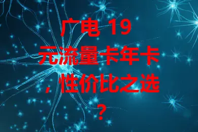 广电 19 元流量卡年卡，性价比之选？