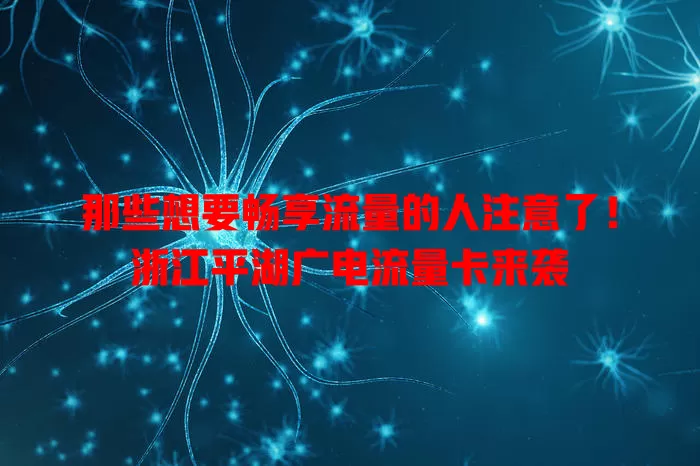 那些想要畅享流量的人注意了！浙江平湖广电流量卡来袭