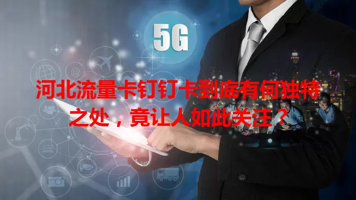 河北流量卡钉钉卡到底有何独特之处，竟让人如此关注？