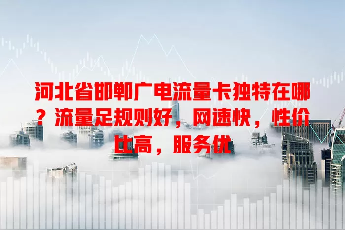 河北省邯郸广电流量卡独特在哪？流量足规则好，网速快，性价比高，服务优
