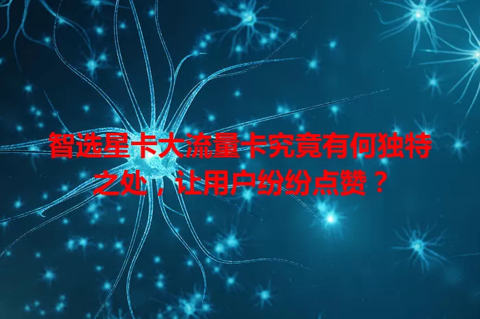 智选星卡大流量卡究竟有何独特之处，让用户纷纷点赞？