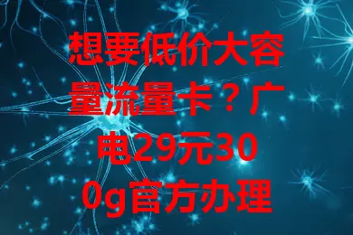 想要低价大容量流量卡？广电29元300g官方办理领取别错过！