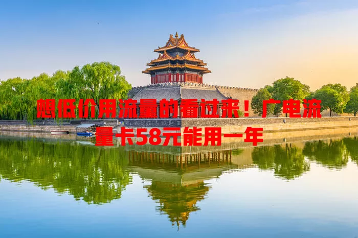 想低价用流量的看过来！广电流量卡58元能用一年