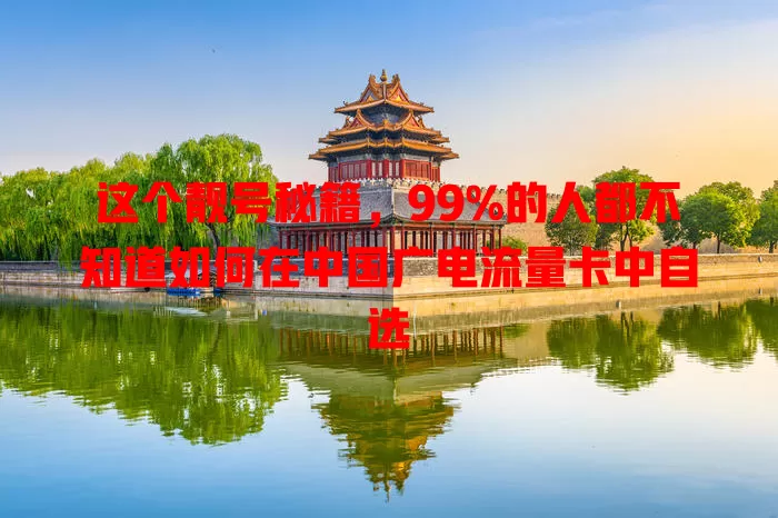 这个靓号秘籍，99%的人都不知道如何在中国广电流量卡中自选