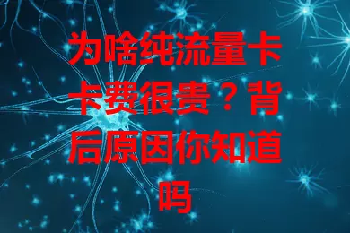 为啥纯流量卡卡费很贵？背后原因你知道吗