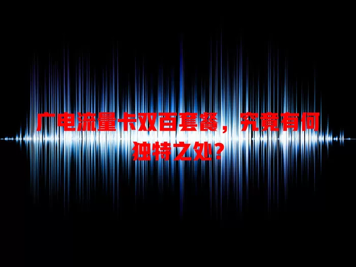 广电流量卡双百套餐，究竟有何独特之处？