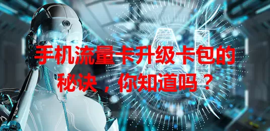 手机流量卡升级卡包的秘诀，你知道吗？