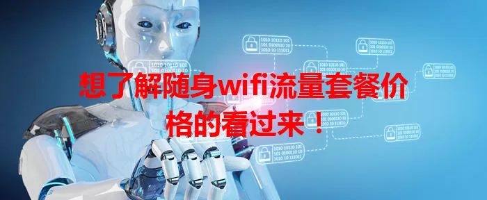 想了解随身wifi流量套餐价格的看过来！