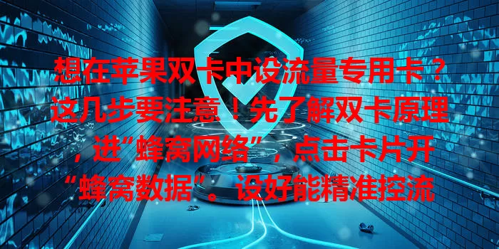 想在苹果双卡中设流量专用卡？这几步要注意！先了解双卡原理，进“蜂窝网络”，点击卡片开“蜂窝数据”。设好能精准控流，防超支，常用应用仅用此卡联网，还有流量监控，让手机使用更高效经济