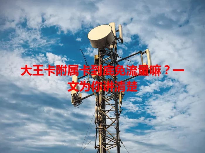 大王卡附属卡到底免流量嘛？一文为你讲清楚